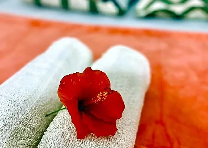 Hotel Hibiscus Dive 2*