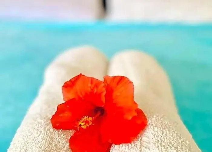 Hibiscus Dive Hotel 2*